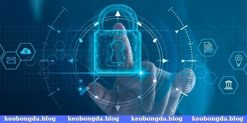 Bạn có quyền riêng tư cụ thể đối với dữ liệu trên trang web