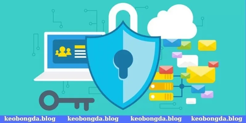 Đảm bảo tất cả dữ liệu được cung cấp chính xác, chi tiết