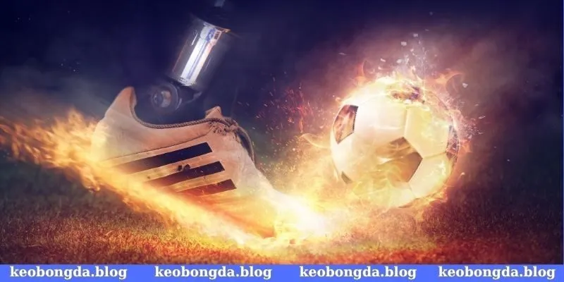 Đánh giá về ưu điểm của đường link mang lại