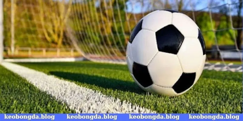 Kèo bóng đá chấp 1/2 trái