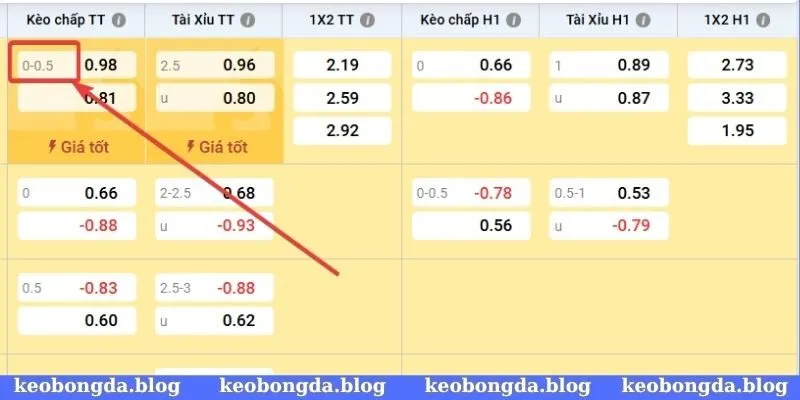 Khám phá cách đọc kèo bóng đá chuẩn chỉnh để dự đoán chính xác