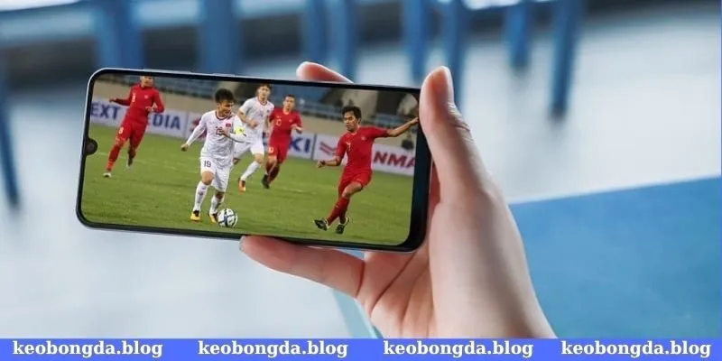 Link xem bóng đá chất lượng cao