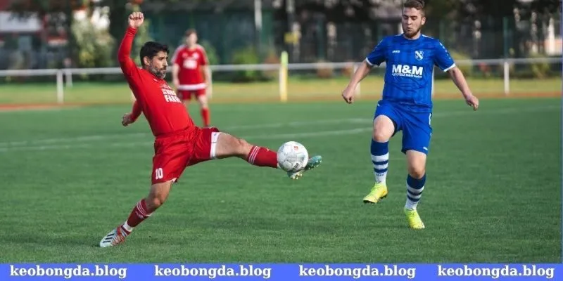 Theo dõi biến động tỷ lệ kèo để đưa ra quyết định phù hợp