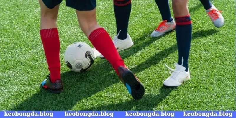 Thống kê điểm số trung bình của các đội bóng