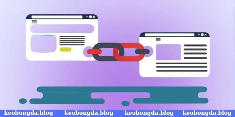 Tìm hiểu tiêu chí lựa chọn đường link chất lượng đảm bảo an toàn